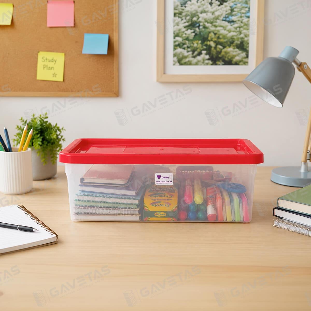 CONTENEDOR-PLASTICO-MULTIBOX-DE-5-LITROS-Mexico-CDMX-00